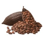 Ingrediente unt de cacao
